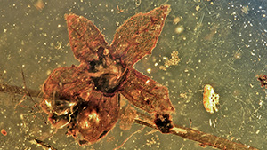 SU16-MW-Figure-3_203677-300x169