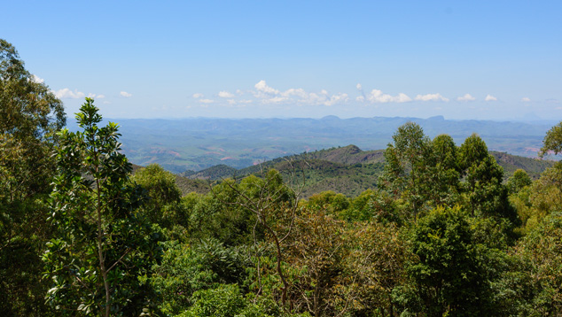 Expedition to the Cruzeiro Tourmaline Mine in Minas Gerais Expedition to the Cruzeiro Tourmaline Mine in Minas Gerais