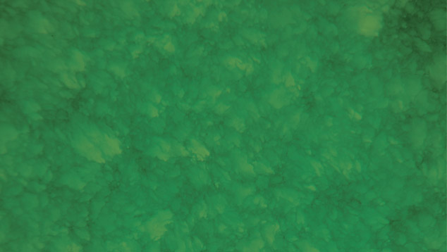 Raman peaks of dyed green marble