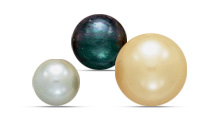 Graduate Pearls Program