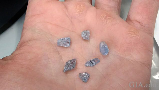 六颗钻石原石. 写真2: 重量0.7～3カラットのブルーダイヤモンドの原石。ファセットカットされた宝石の外観を最高の状態に見せるためにインクルージョンが巧みにカットされたり研磨されてしまうことがよくあるため、このような原石のサンプルを検査するとインクルージョンを観察するのに良い機会をもたらす。写真：Evan M. Smith