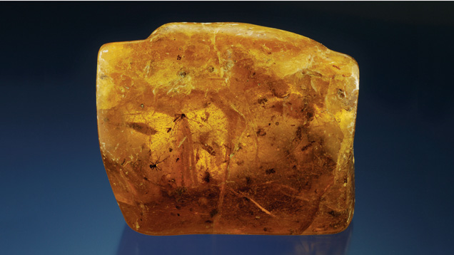 Rough Amber