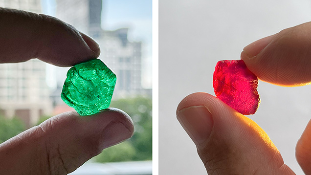Figure 1. Fine emerald (>60 ct) and ruby (13 ct) crystals offered at the 2024 Gemfields auctions in Bangkok. Photos by Wim Vertriest. Figure 1. Fine emerald (>60 ct) and ruby (13 ct) crystals offered at the 2024 Gemfields auctions in Bangkok. Photos by Wim Vertriest.