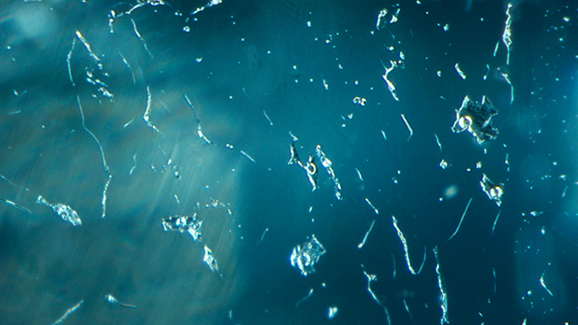 Figure 1. Immiscible two-phase fluid inclusions in a 0.48 ct Paraíba tourmaline. All circular phases were identified as gaseous CO2 by confocal Raman spectroscopy. Photomicrograph by Kazuko Saruwatari; field of view 1.10 mm.