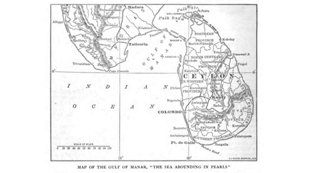 マンナール湾の地図
