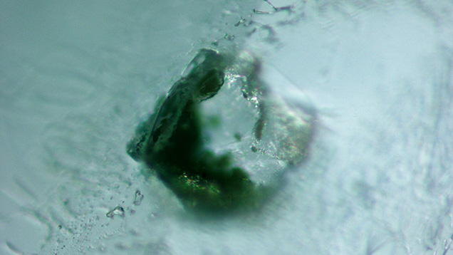 Monazite inclusion in alluvial Montana sapphire Monazite inclusion in alluvial Montana sapphire