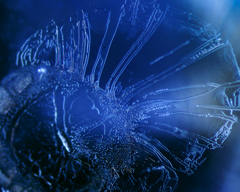 Atoll-like inclusions in Montana sapphire Atoll-like inclusions in Montana sapphire