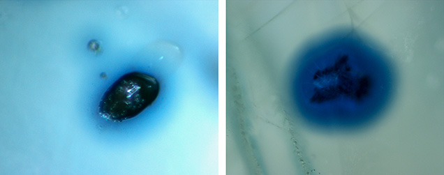 Blue halos around prismatic rutile in alluvial Montana sapphire Blue halos around prismatic rutile in alluvial Montana sapphire