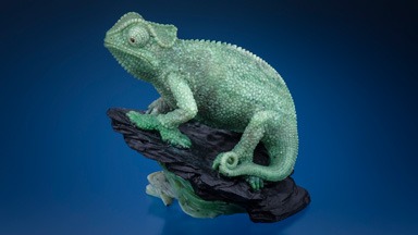 Dreher chameleon