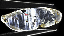 Identification Identification