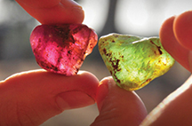 PE_Landing_ProgramOptions-ColoredStones-216x142 PE_Landing_ProgramOptions-ColoredStones-216x142